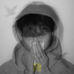 日韩毛片高清免费
