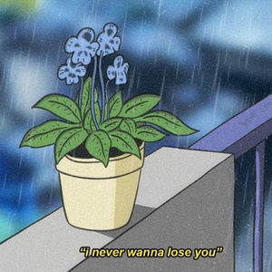 日韩毛片高清免费
