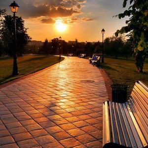 日韩毛片高清免费
