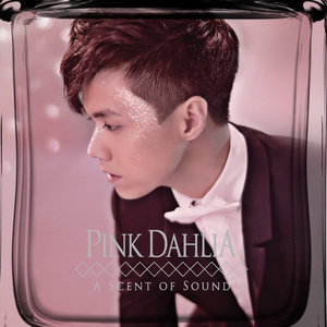 日韩毛片高清免费
