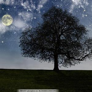 日韩毛片高清免费
